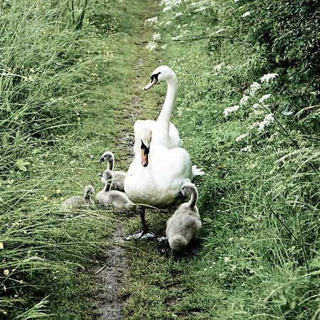 Duck Terrace With Gym Duckling Stays Kibworth Harcourt 외부 사진