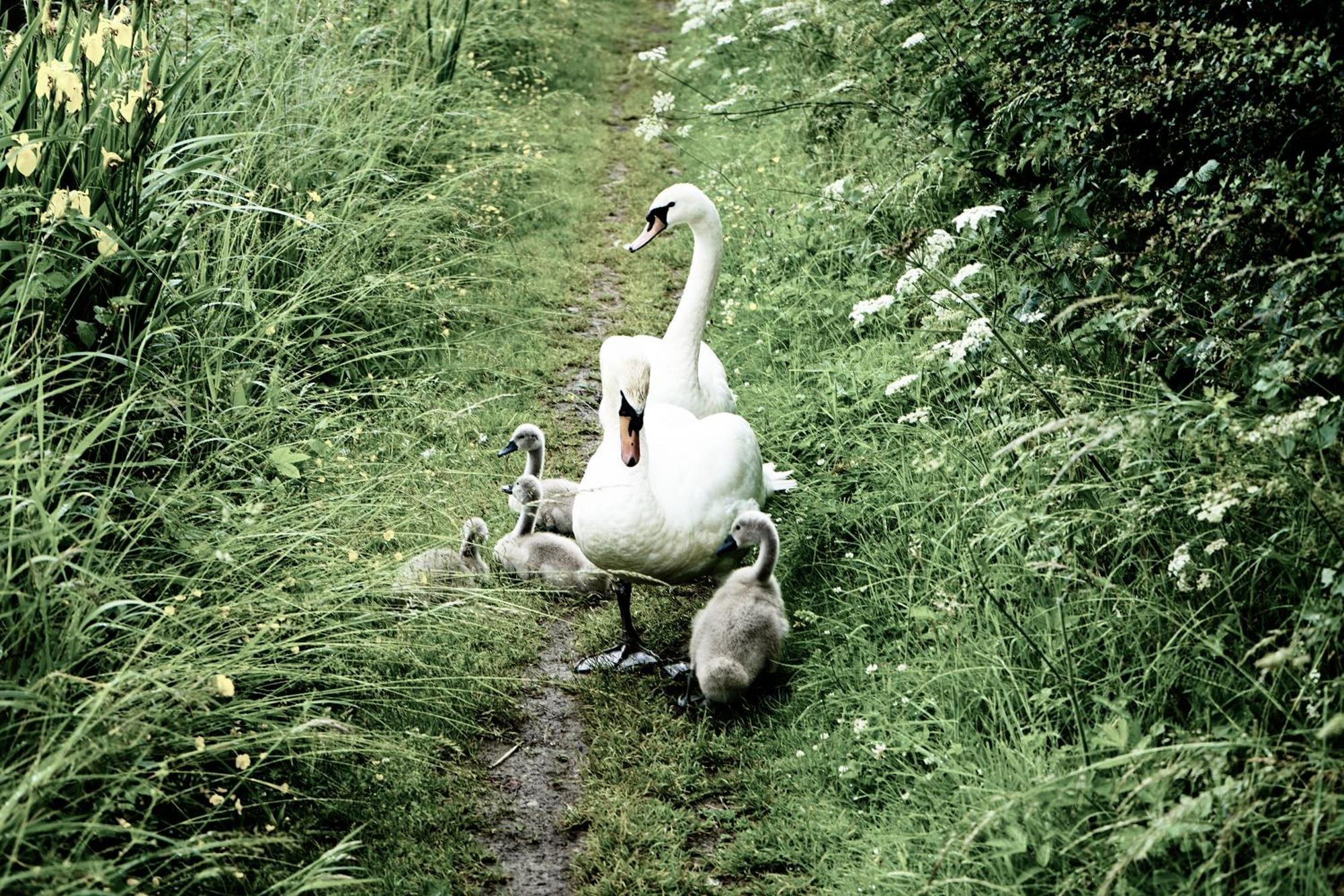 Duck Terrace With Gym Duckling Stays Kibworth Harcourt 외부 사진